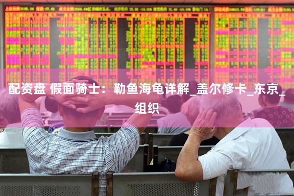 配资盘 假面骑士：勒鱼海龟详解_盖尔修卡_东京_组织