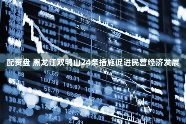 配资盘 黑龙江双鸭山24条措施促进民营经济发展